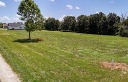 2490 E 549th Road, Buffalo, MO 65622