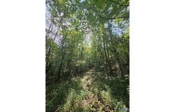 315 Dugout Valley Road, Fort Payne, AL 35968
