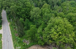 8762 Lower East Hill Road, Colden, NY 14033