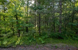 Lot 3 DADS LAKE RD, Eagle River, WI 54521