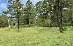 400 Tree Farm Road, Melbourne, AR 72556
