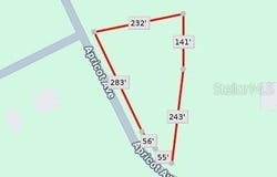 APRICOT AVENUE, EUSTIS, FL 32736