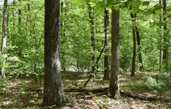 Route 120, Lock Haven, PA 17745