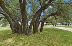 1360 Us Highway 84 W, Mullin, TX 76864
