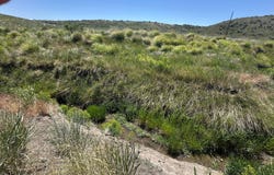 7605 W BLACK CANYON Rd, Weston, ID 83286