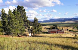 456 Boulder Frontage Road, Boulder, MT 59632
