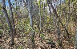 0 Hurricane Blvd, Irvington, AL 36544