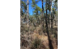 Emile Davis Road, Poplarville, MS 39470
