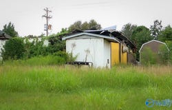 8778 Hwy 40, Henagar, AL 35978
