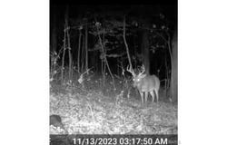 0 Hwy 60, Van Buren, MO 63965