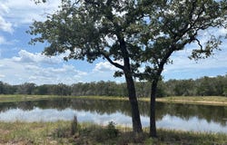 2250 Old Lockhart RD, Plum, TX 78952