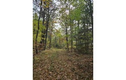 133 Plantation Lane, Brownfield, ME 04010