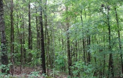 590 Richmond Road, Byhalia, MS 38611