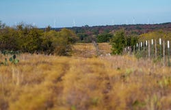 County Road 122, TX 11111