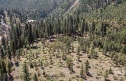 Kirkham Road, Lowman, ID 83637