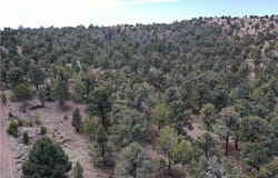 0 Pinion Pine, Pioche, NV 89043