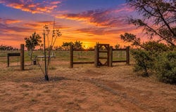 8801 N County Rd 31, Big Spring, TX 79720