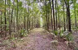 349 Lee Road, Waterproof, LA 71375