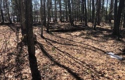 EDDIES DR lot: On, Eagle River, WI 54521