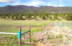 43 Stoll Circle, Lake George, CO 80827