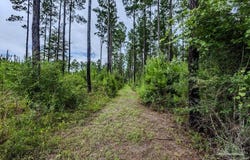 54 Sage Forest Ln, Pace, FL 32571