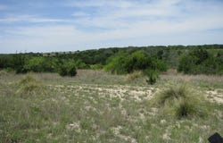 FM 2842, Pottsville, TX 76565