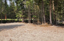 1953 S Forest LN, Cedarville, MI 49719