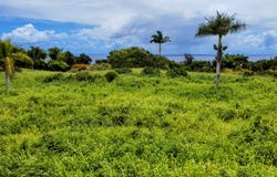 31-154 HAWAII BELT RD, Ninole, HI 96773