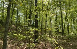 326 KY 1092, Sitka, KY 41255