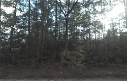 00 Krocus Street, Fountain, FL 32438