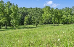 000 N Farm Road 99, Willard, MO 65781