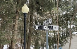 Red Pine Lane lot: 1, Croswell, MI 48422