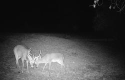 0 TUCKER RD Rd, Lynn, AL 35575