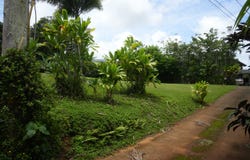 6396 KALAMA RD, Kapaa, HI 96746