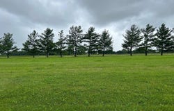 Lot 21 Guinan Street, Petersburg, IL 62675