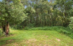 30251 SUNSET Lane, WESLEY CHAPEL, FL 33545