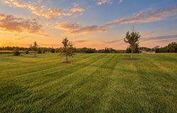 633 HARVEST Drive, BYRON, IL 61010