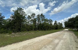 2671 SE 133RD TERRACE, MORRISTON, FL 32668