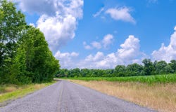 14 Acres County Road 62, Section, AL 35771