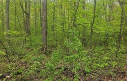 Lot 3 Buckeye Lane, Stone Lake, WI 54876