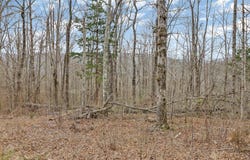 Choctaw Dr lot: 1B, Jamestown, TN 38556