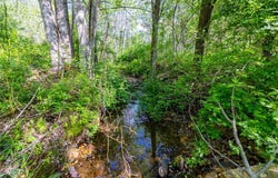 Ashe Park Road, Jefferson, NC NC
