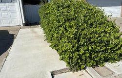 2772 Toland Drive, Fairfield, CA 94534