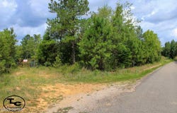 0 Bullman Road, Finger, TN 38334