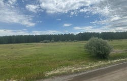 Moose (Lot 17), West Yellowstone, MT 59758