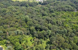 0 BIRCH LANE, PILESGROVE, NJ 08098