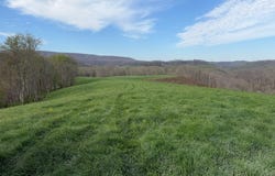 1999 Snake Run Rd, Alderson, WV 24910