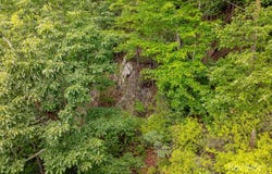 Doubleview Drive, Union Mills, NC 28167