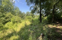 0 Blizzard Mines Road, Harriman, TN 37748