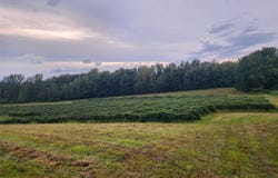11600 N PEABODY Road, North East, PA 16428